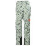 Switch Cargo Insulated Pant